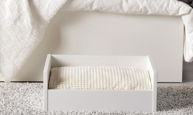 Applied DNA, GHCL, & RIL launch CertainT bedding products