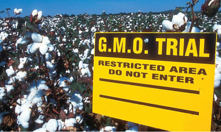 New GMO testing by OEKOTEX for organic cotton