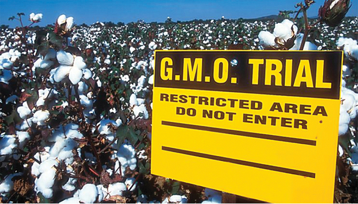 New GMO testing by OEKOTEX for organic cotton