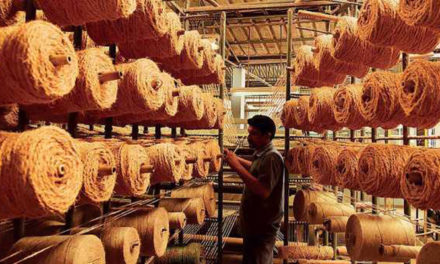 Revival package for coir sector to boost fibre production in Kerala