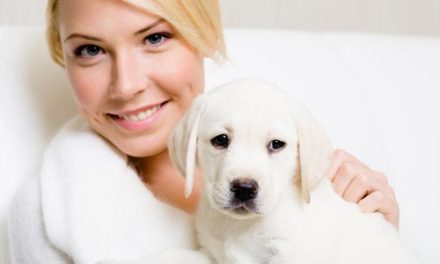 Devan launches technology to make textiles free from pet allergens