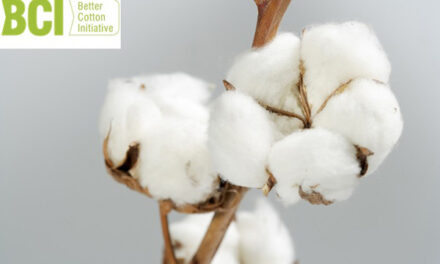 BCI sourced a record 1.7 mn tonnes of its ‘Better Cotton’ in 2020