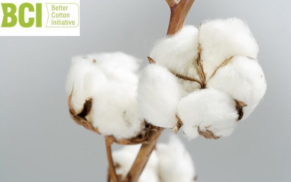 BCI sourced a record 1.7 mn tonnes of its ‘Better Cotton’ in 2020