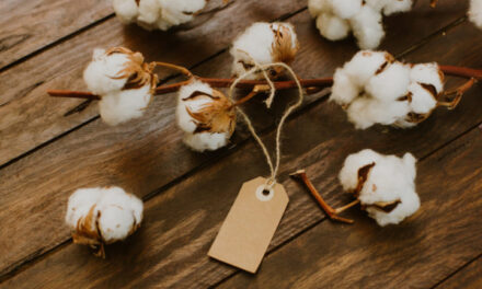 Israeli Cotton Board trials tracing technology