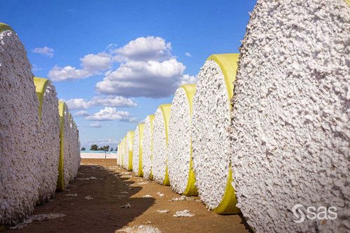 SAS & US’ Cotton Incorporated launched analytics for sustainability