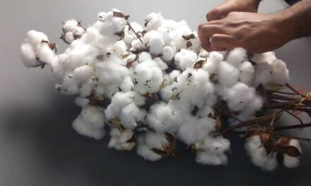 Duty free import of raw cotton to push exports of value-added cotton textile