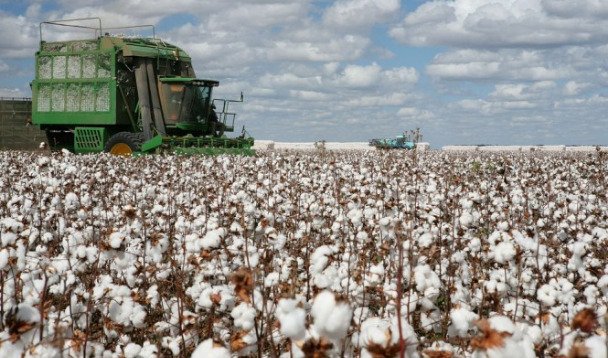 ICA Bremen has accredited APPA as the 12th laboratory