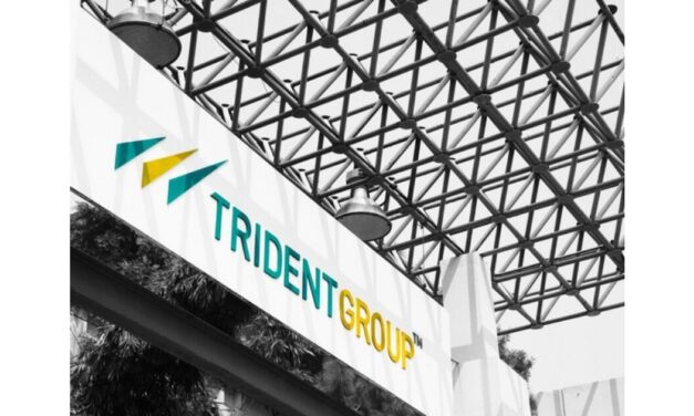 Trident Ltd reports 19.1% drop in Q1 profit despite 16.66% revenue growth