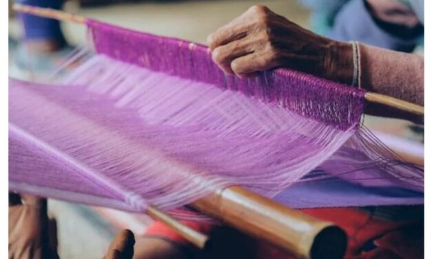 Meghalaya Textiles Minister promotes innovation and global expansion for weaving sector