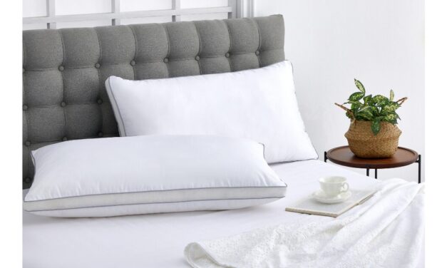 Hologenix launches ‘The Infrared Dream Pillow powered by CELLIANT’ for a more restful night’s sleep