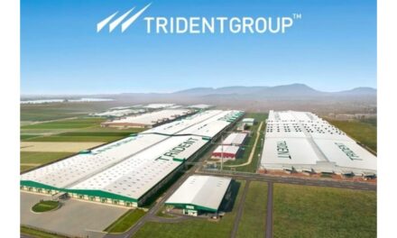 Trident Limited announces Q4 and FY25 full year results