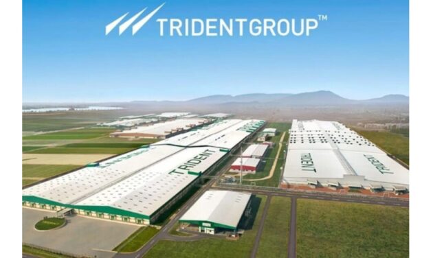 Trident Limited announces Q4 and FY25 full year results