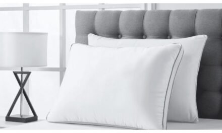 Hologenix unveils infrared Dream Pillow at Health Optimisation Summit in London