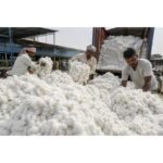 Govt exempts import duty on cotton till October 30