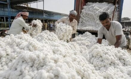 Govt exempts import duty on cotton till October 30