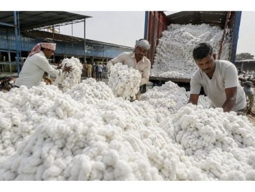 Govt exempts import duty on cotton till October 30
