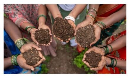 BCI’s first global impact report in five years reveals measurable progress at scale