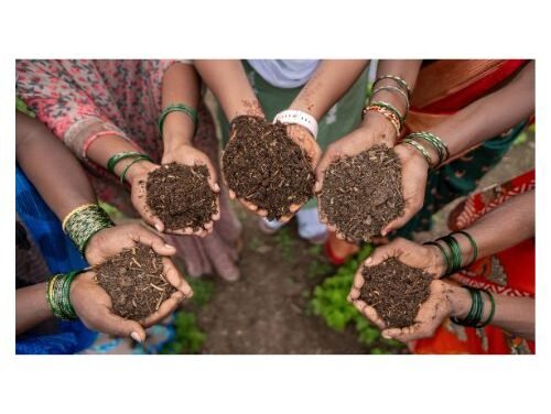 BCI’s first global impact report in five years reveals measurable progress at scale